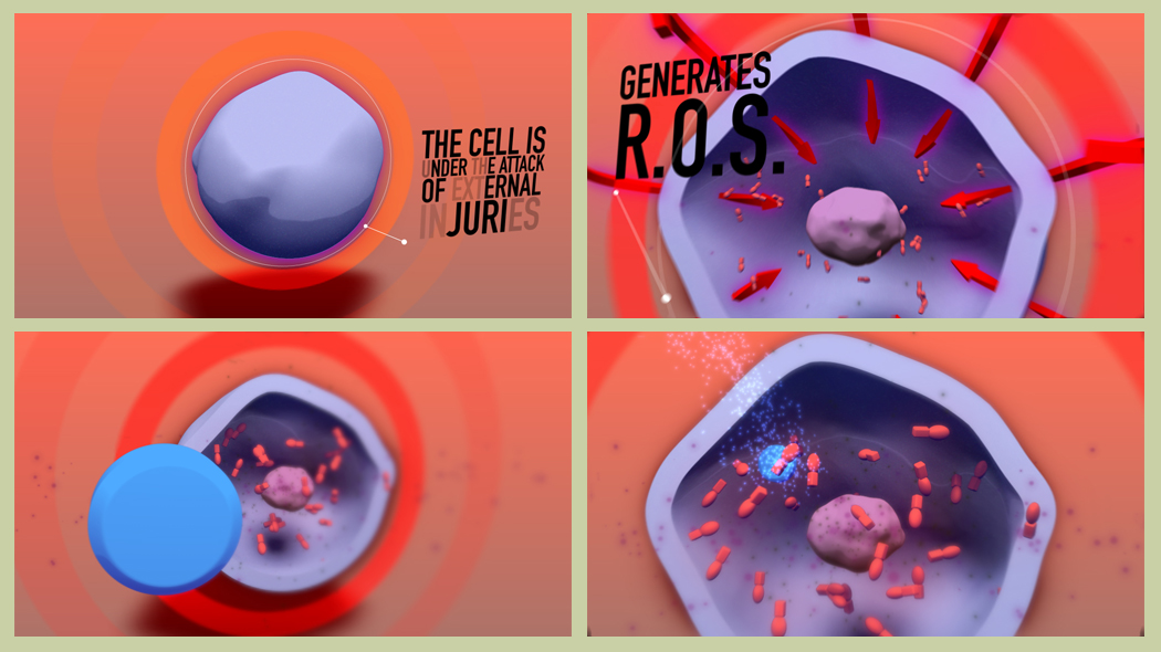 MOA_cell_story_3